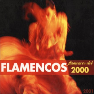 12488 Flamencos del 2000 / 2001