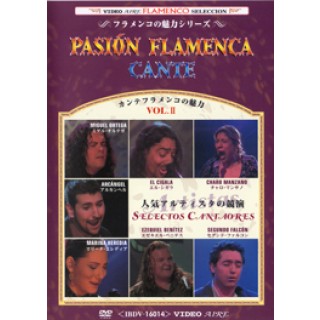 20574 Pasión flamenca - Cante Vol 2