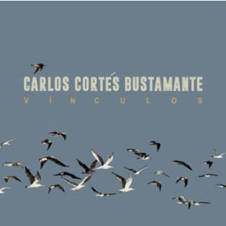 29915 Carlos Córtes Bustamante - Vínculos