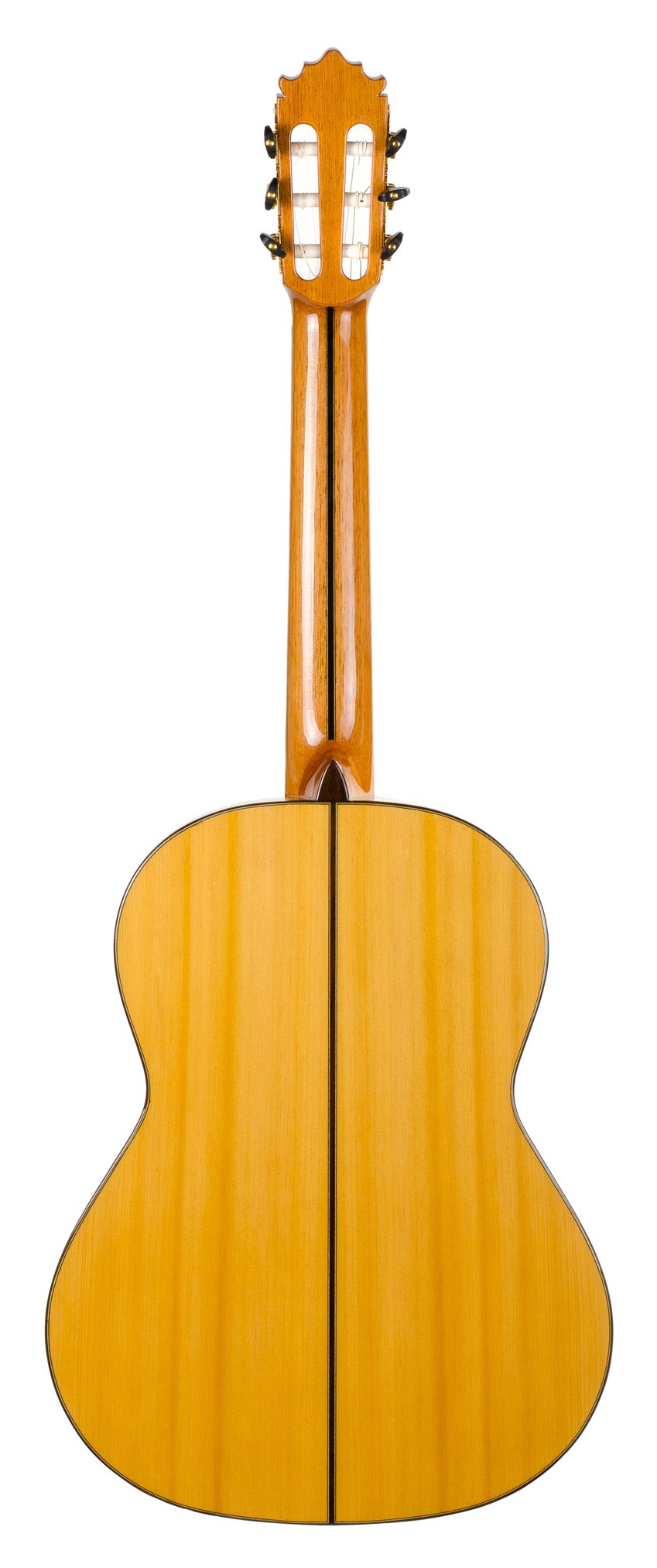 El Flamenco Vive | Flamenco guitar Paco Castillo 215F