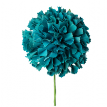 FLOR FLAMENCA 54776
