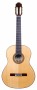 Guitarra Clásica Modelo 2015 1B Palosanto India