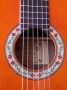27204 Guitarra Flamenca Juan Montes 46-M Flamenco Negra