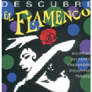 14066 Descubre el flamenco