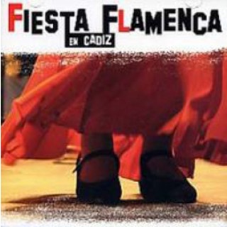 16943 Fiesta flamenca en Cádiz