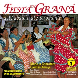 19626 Fiesta en Graná, del Albaicín al Sacromonte Vol. 1