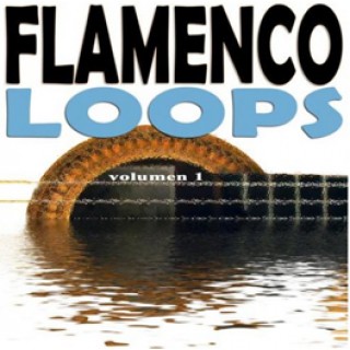 20439 Flamenco Loops