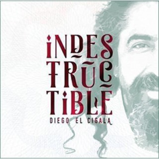24444 Diego el Cigala - Indestructible