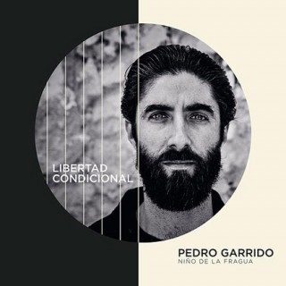 24640 Pedro Garrido 