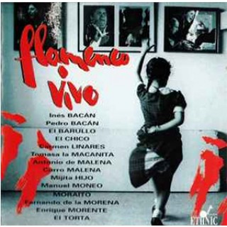 35118 Flamenco vivo