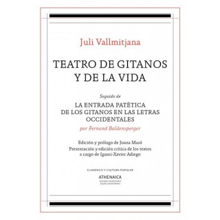 24732 Juli Vallmitjana - Teatro de gitanos y de la vida