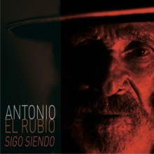 28049 Antonio 