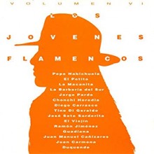 32140 Los jovenes flamencos Vol 6 