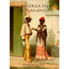 América en el flamenco - Faustino Núñez (Libro)
