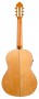 Guitarra Flamenca CAMPS PRIMERA CE-500-S electrificada