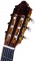 CAMPS FLAMENCA NEGRA MODELO FL-11-C FLEX-BI CUTAWAY ELECTRIFICADA clavijero