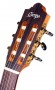 CAMPS FLAMENCA CUTAWAY CW-1 Electrificada clavijero