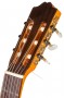 GUITARRA FLAMENCA DUQUESA MODELO FLAMENCO clavijero