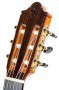 Guitarra Flamenca CAMPS PRIMERA CE-500-S clavijero