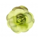 54751 Verde Oliva