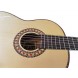 34062 Guitarra Antonio de Toledo Modelo Tomatito 