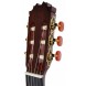 34212 ATF-17M Antonio de Toledo Guitarra Flamenca de Arce Rizado 