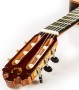 GUITARRA VICENTE CARRILLO FLAMENCO CONCERT MOD. MAESTRO NEGRA, CAÑIZARES