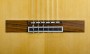 CAMPS FLAMENCA NEGRA MODELO FL-11-C FLEX-BI CUTAWAY ELECTRIFICADA puente