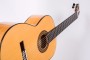 27259 ÁLVAREZ & BERNAL GUITARRA ESPECIAL FLAMENCA CIPRES