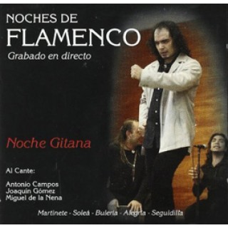 15441 Noches de flamenco Vol 8. Noche gitana