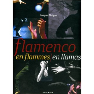 19529 Flamenco en llamas - Jacques Maigne