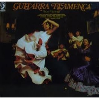 23806 Pepe Martinez - Guitarra flamenca 