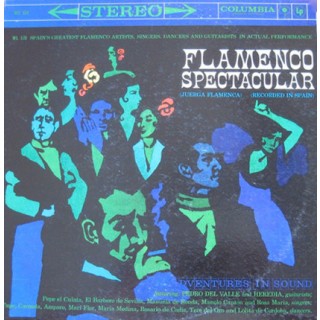 31275 Flamenco spectacular 