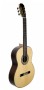 31828 Guitarra Flamenca Vicente Tatay - Fondo de Palosanto con Tapa Maciza de Abeto - Acabado Brillo C320.590 RS
