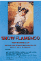 13491 Show flamenco - Videos flamencos de la luz