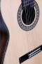 Guitarra Flamenca Vicente Tatay - Fondo de Palosanto con Tapa Maciza de Abeto - Acabado Brillo C320.590 RS