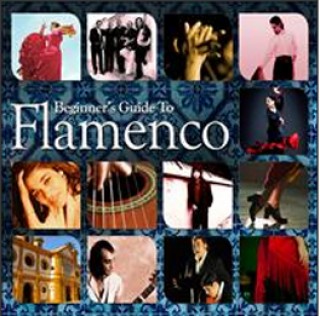 20369 Beginners Guide to Flamenco
