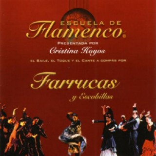 12352 Escuela de flamenco - Farrucas y escobillas