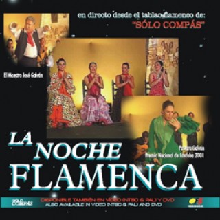 12667 La noche flamenca