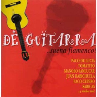 17366 De guitarra ...suena flamenco!