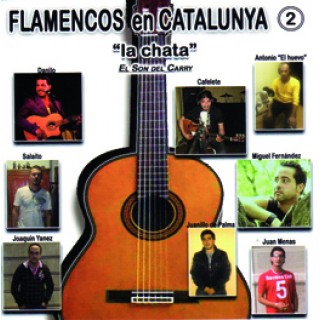 19643 Flamencos en Cataluña 2 - 