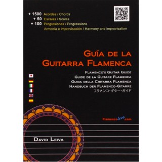 19751 David Leiva - Guía de la Guitarra Flamenca