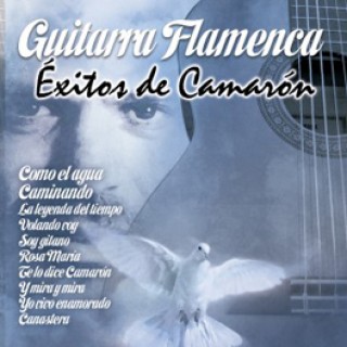 20661 Éxitos de Camarón a guitarra flamenca