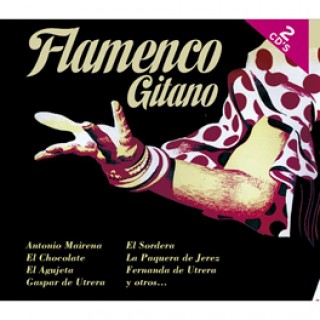 20670 Flamenco gitano
