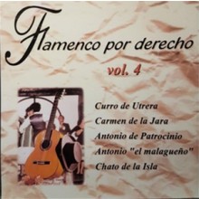 32151 Flamenco por derecho Vol 4 