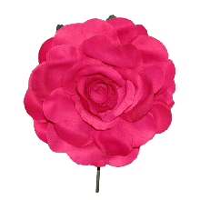 54711 Rosa flamenca de pétalos corazón