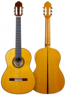 GUITARRA FLAMENCA JAVIER ROSALES