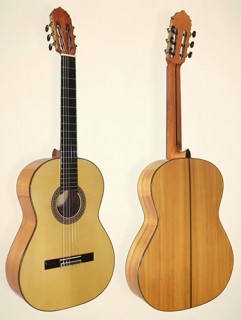20801 Guitarra Flamenca Azahar 132 Flamenco