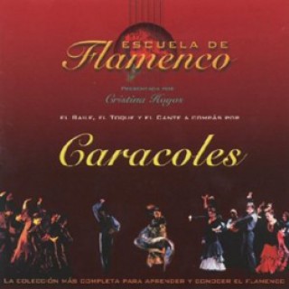 11045 Escuela de flamenco - Caracoles