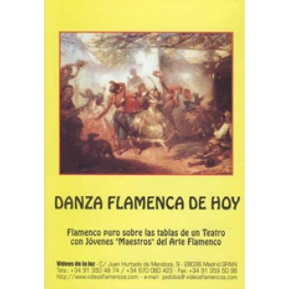 13955 Danza flamenca de hoy - Videos flamencos de la luz
